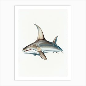 Bull Shark Vintage Art Print