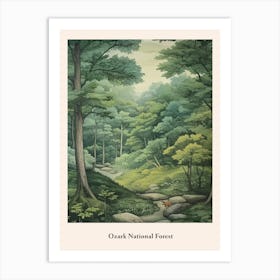 Ozark National Forest Art Print