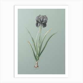 Vintage Mourning Iris Botanical Art on Mint Green n.0447 Art Print