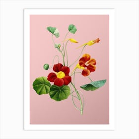 Vintage Monks Cress Botanical on Soft Pink n.0557 Art Print