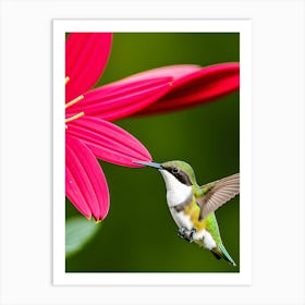 Female Ruby Throated Hummingbird -Reimagined 3 Art Print