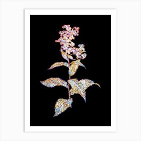 Stained Glass White Gillyflower Bloom Mosaic Botanical Illustration on Black n.0144 Art Print