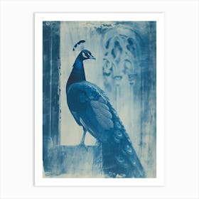 Peacock In A Church Abbey Cyanotype Inspired 2 Art Print