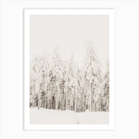 White Winter Woods Art Print
