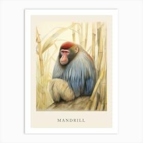 Beatrix Potter Inspired  Animal Watercolour Mandrill Art Print
