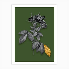 Vintage Boursault Rose Black and White Gold Leaf Floral Art on Olive Green n.0656 Art Print