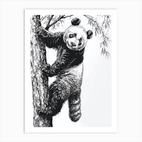 Giant Panda Cub Climbing A Tree Ink Illustration 3 Art Print