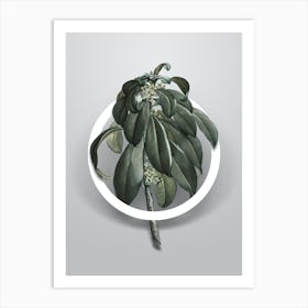 Vintage Spurge Laurel Weeds Minimalist Floral Geometric Circle on Soft Gray n.0134 Art Print