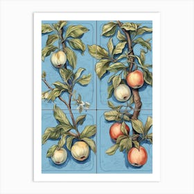 Apples Illustration 5 Art Print