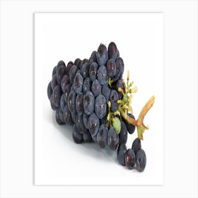 Black Grapes Art Print