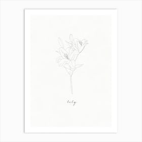 Lily Line Drawing Art Print