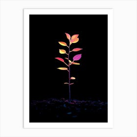 Tree In The Dark 23 Art Print