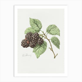 English Hedgerow Blackberry - Textured Botanical Wall Print Set | Floral Collection Art Print Art Print