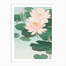 Lotus Flower 95 Art Print