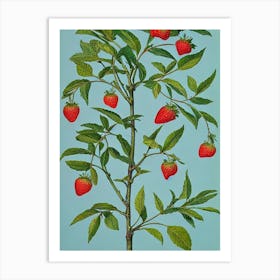 Strawberry 2 Vintage Botanical Fruit Art Print