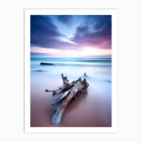 Driftwood At Sunset Art Print