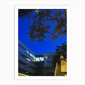 Blue At Night Art Print