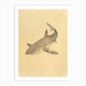 Zebra Shark Vintage Illustration 6 Art Print