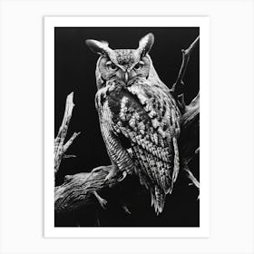 African Scops Owl Charcoal Drawing 2 Art Print