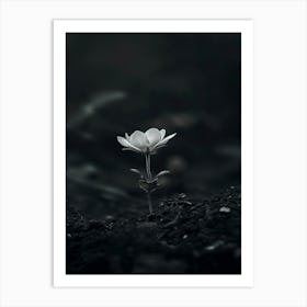 Black And White Flower 2 Art Print