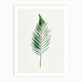 Douglas Fir Needle Leaf Minimalist Watercolour 3 Art Print