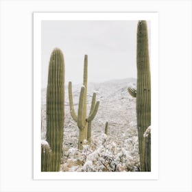 Snow Storm In Desert Art Print