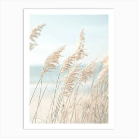 Eel Grass On The Beach Art Print