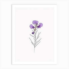 Nemesia Floral Minimal Line Drawing 3 Flower Art Print