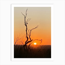 Sunset In Perth Art Print