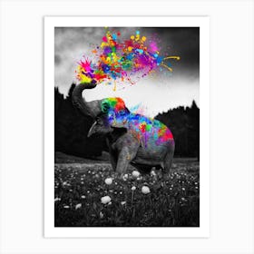 Elephant Color Splash Paint Art Print