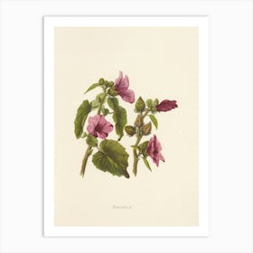 Hibiscus 6 Art Print