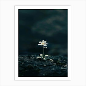 White Flora 5 Art Print