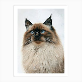 Himalayan Cat Painting 2 Art Print