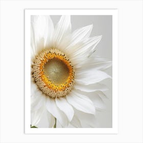 Sunflower 5 Art Print