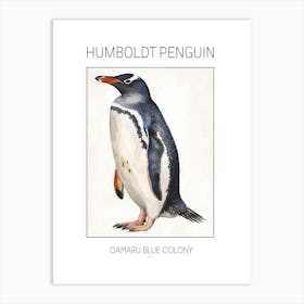 Humboldt Penguin Oamaru Blue Penguin Colony Watercolour Painting 2 Poster Art Print