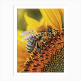 Colletidae Bee Storybook Illustration 8 Art Print