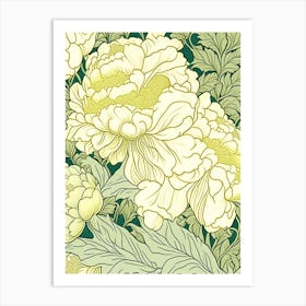 Cottage Gardens Peonies 2 Yellow Drawing Art Print