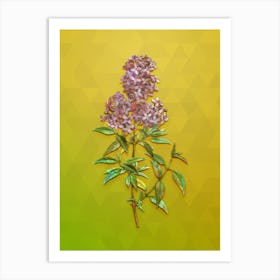Vintage Persian Lilac Botanical Art on Empire Yellow Art Print