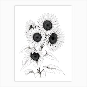 Sunflowers 2 Art Print