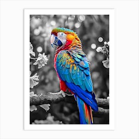 Colorful Parrot Art Print