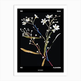 No Rain No Flowers Poster Babys Breath 1 Art Print