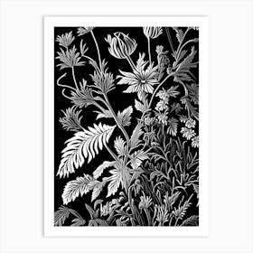 Hedge Nettle Wildflower Linocut Art Print