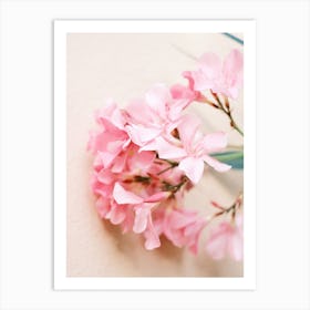 Pink Flower // Nature Photography Art Print