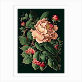 Camellia 1 Floral Botanical Vintage Poster Flower Art Print