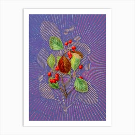 Vintage Plum Leaved Thorn Flower Botanical Illustration on Veri Peri Art Print