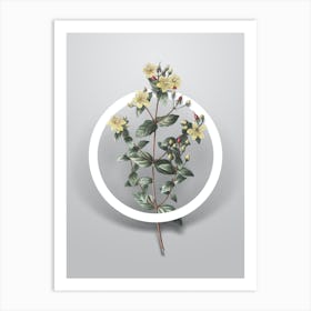 Vintage Stinking Tutsan Minimalist Flower Geometric Circle on Soft Gray n.0303 Art Print