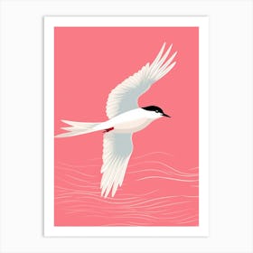 Minimalist Common Tern 1 Illustration Art Print