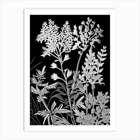 Wall Rue Wildflower Linocut 1 Art Print