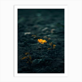 Single Yellow Flower 59 Art Print