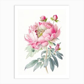 Peony Floral Quentin Blake Inspired Illustration 1 Flower Art Print